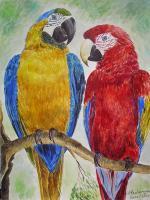Animals - Blue And Redaras - Watercolour On The Paper